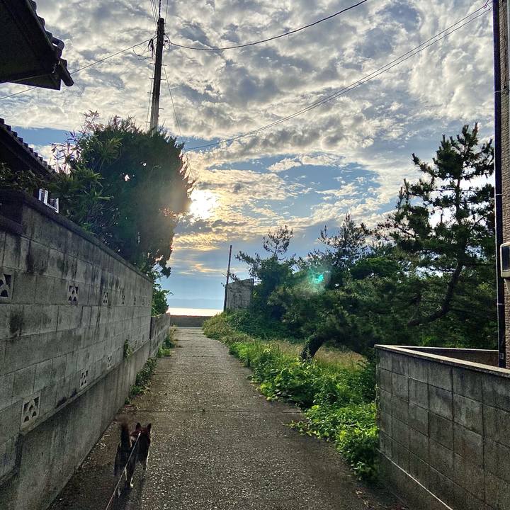 43345f23 b1a8 4f9e 8101 9e34b41ea32c 1751368033224