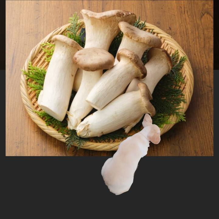 433486b7 e11c 44b6 9056 6407e9ef907e 1755611064882