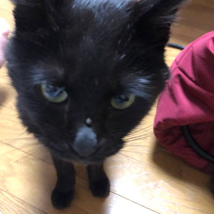 4334a2e3 91c4 4eff b2c8 2b08d37abd74 1618832152530