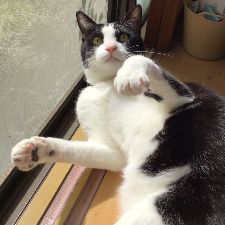 4334b59b 41ad 4eea 9be5 eee14b26ccd4 1712451502838