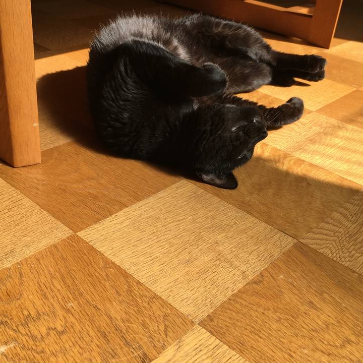 4334d49e 21aa 4c4f a936 523a724b9b6c 1533108033615