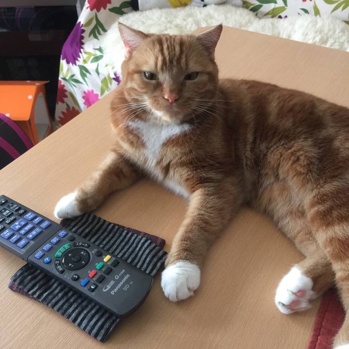 4334f762 f9f0 4ebd a803 fafabfef358b 1536386024486