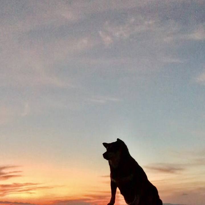 43352770 fb84 4b86 9e8c 74c687131fa2 1578131874661