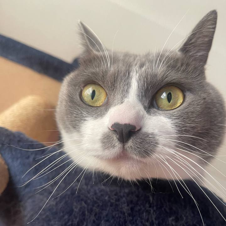 43356bcb 9615 4b05 ab70 64ba7de5cf70 1737240412340