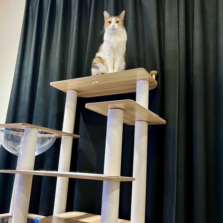 4335b2d0 6ce1 4b31 ad6b ff9488624724 1769053160270