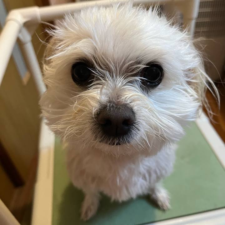 4335bde5 f073 4008 a764 b602e43c0bca 1677221312789