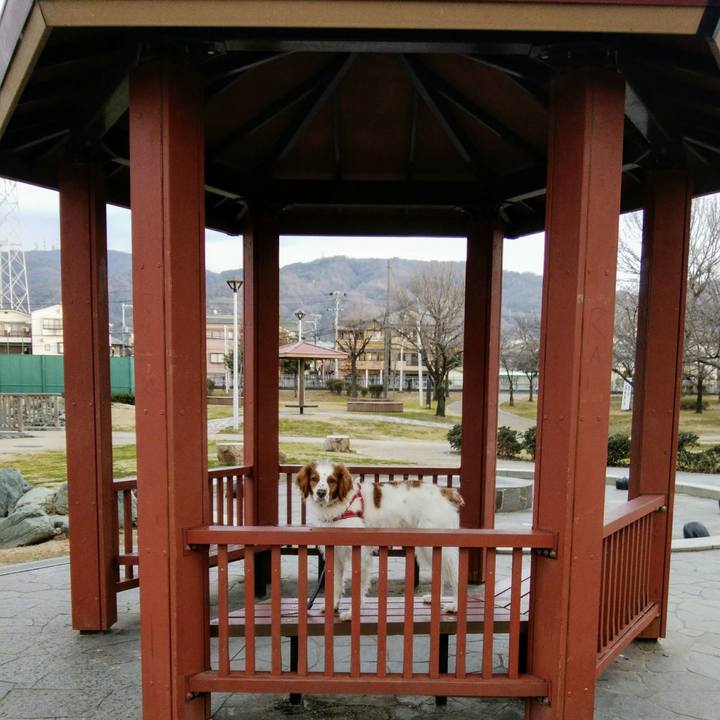 4335e150 11fa 43b5 b4e4 3bd16733b9af 1550653055480