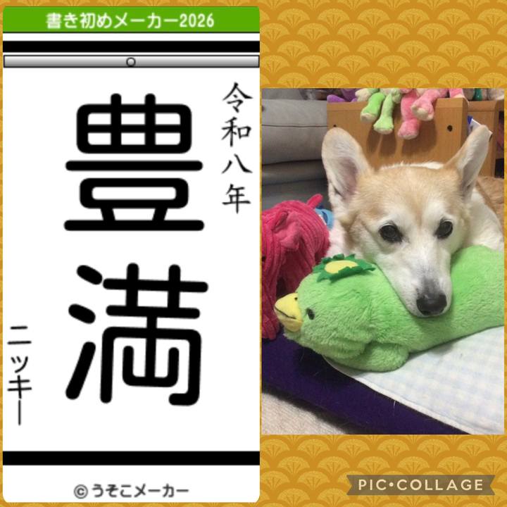 4335ff0e be5d 4582 b66b b258aceba7bf 1767421501639