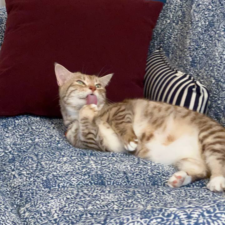 43362398 0f4a 405d 9beb fec81f707d5c 1693916337878