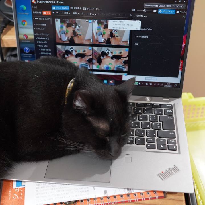 43362b59 615b 460e 977b 912e9b35f06c 1591014962643