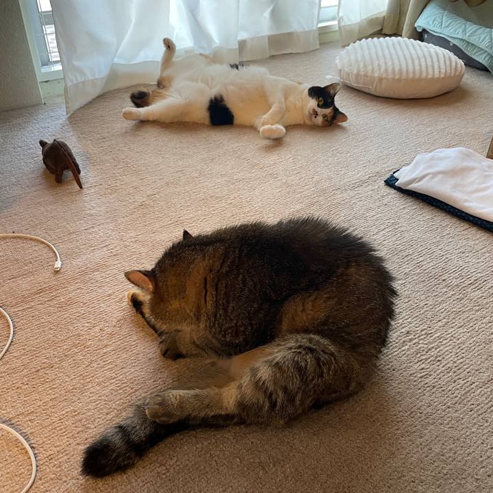 43362f6d 49e3 4a96 8d05 6bfd1f564492 1751326445858