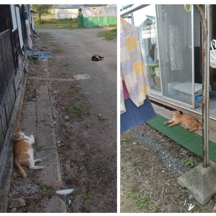 4336430d 67d7 4bc5 b74e 62f9dd0a6956 1751187682582