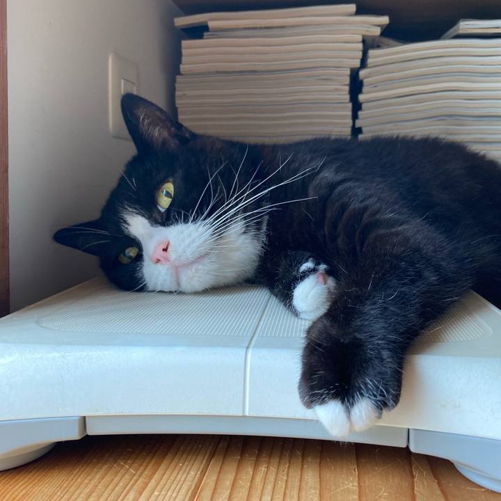 43365b29 b04f 4d67 a618 dbef34e67d4b 1627692015648