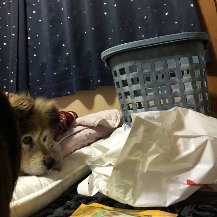 43366b38 e368 4108 97ba ceaa3f2e841b 1631409284140