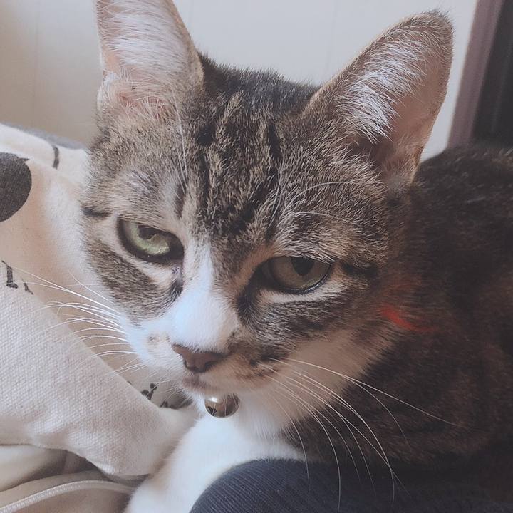 4336705c 4af6 48cb 94e9 b92dd3073b89 1568980807855