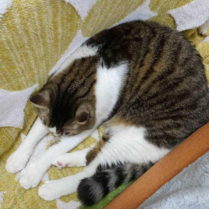 4336ff0b f118 4340 ada3 bba5aebd086b 1673616038868