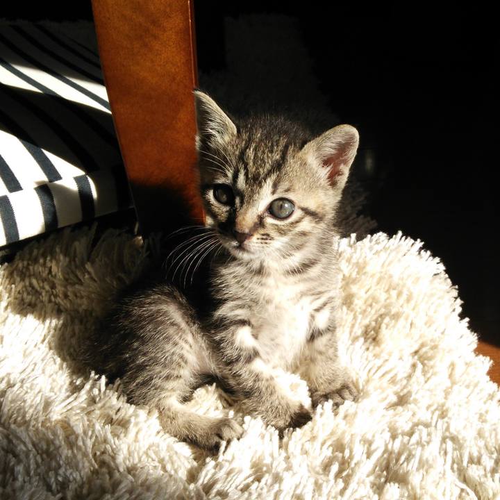 4336ff90 774f 4398 afd3 b53ac16bf57a 1601471863127