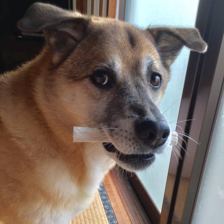 43372c85 7219 4661 b94c 2148f3e465af 1573450973221