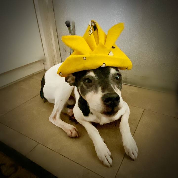 433749ea f9b8 4d0a 9dcc e232c13ecb7c 1588666367667