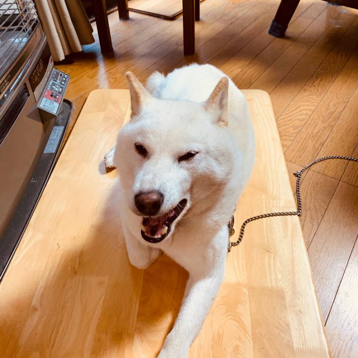 43378272 28e8 4b53 854a 2cb28243be77 1574820749916