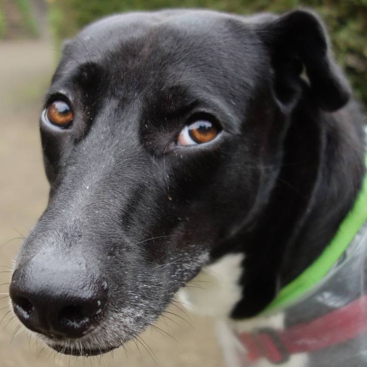 4337b9ef 7435 4d32 bab9 8863d819541b 1625612798499