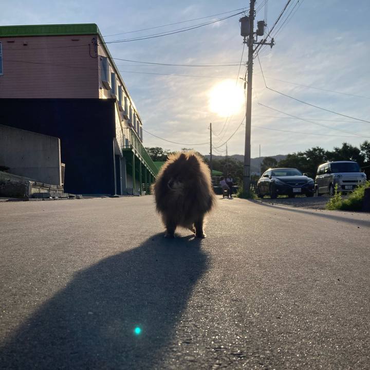 4337c616 133d 462d 85f1 a1403db0532c 1718836564392