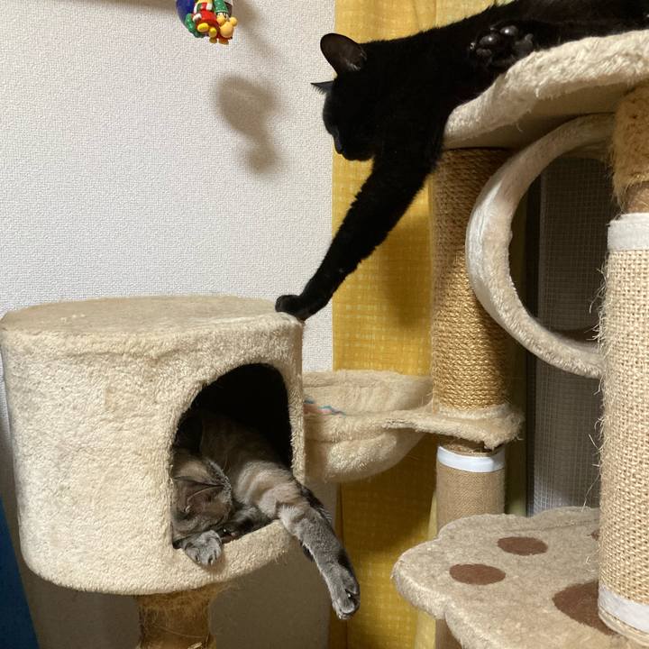 4338155c 1995 495a 8c33 1c5ea0a25250 1761923203674