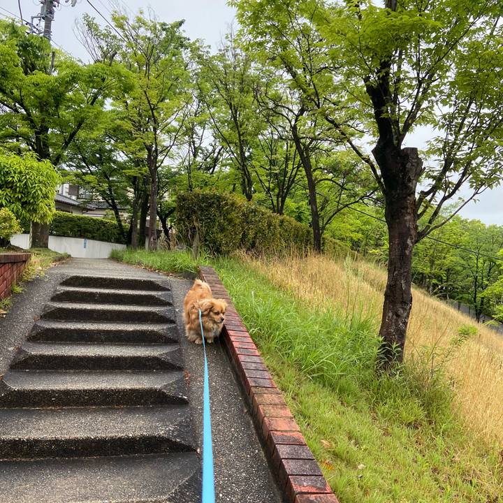 433850f8 c8e0 4985 b747 aa843d4b3890 1589070005848