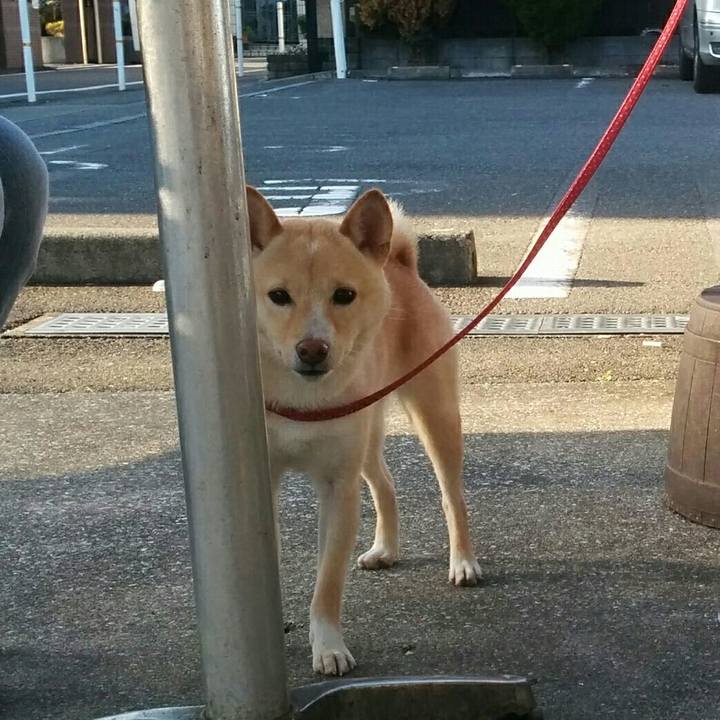 433860e2 1475 42d1 98f7 9548f766edeb 1509018589593