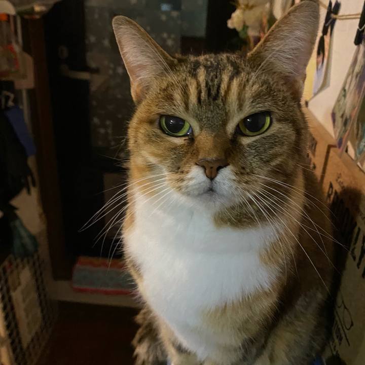 433869e9 deea 4d55 a962 28518a9a0ce0 1670864153487