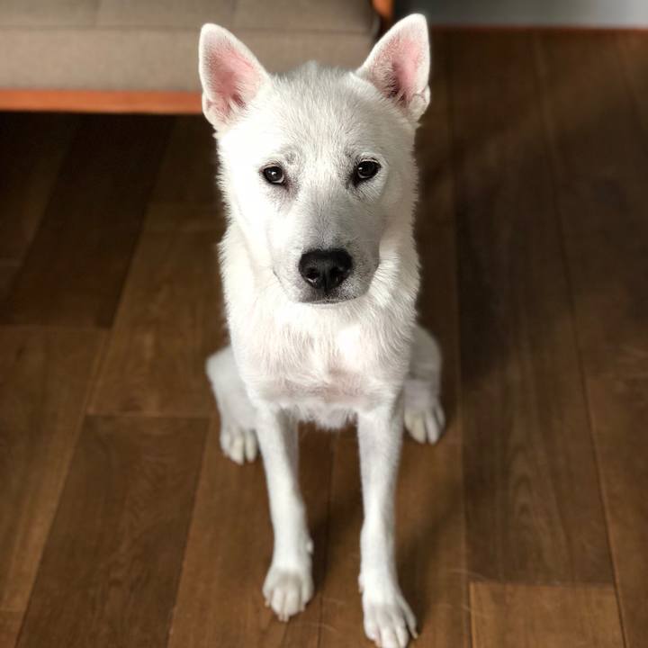 433871e6 02e1 4446 a28b dc636d28a784 1533772063852