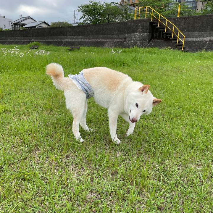 4338750a 3288 4fd4 865f de481ff61ad7 1651158784862