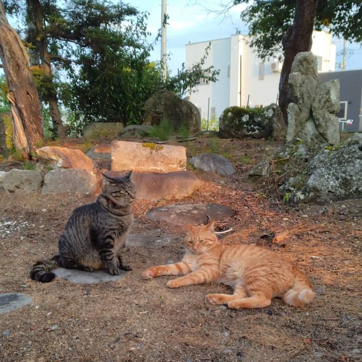 433898f3 0994 4c02 ae40 78061ed8eb42 1692611420827