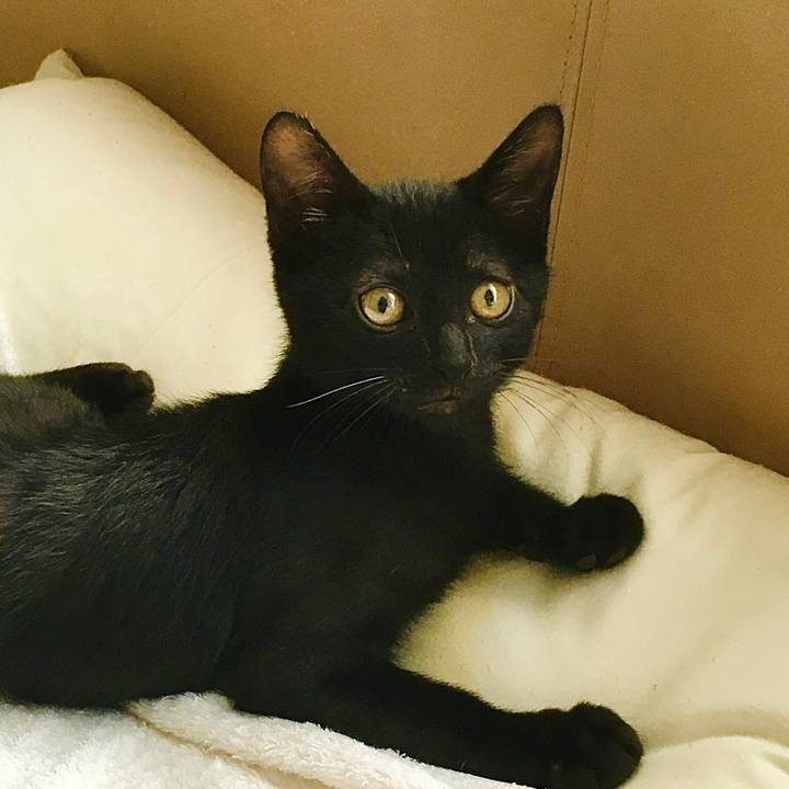 4338a28d 5188 4fb4 b89d 037381de603d 1629784450021