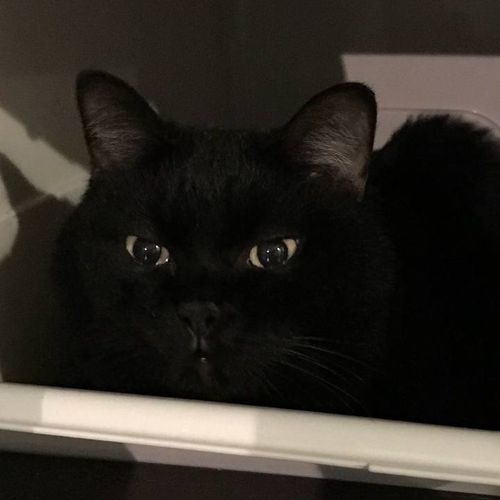 4338a907 ed35 4a30 90ca 218bdb135de7 1509276514417