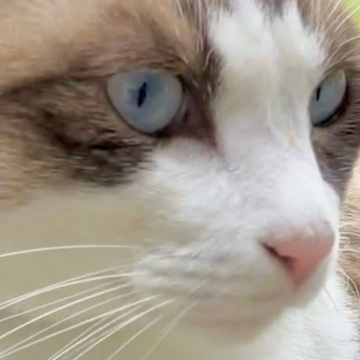 433918f9 e970 4119 9141 daae82bb03df 1728458416263