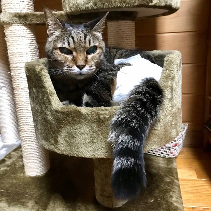 43391d0d 2587 42cc 914a 2d5352e6c15f 1557060376189