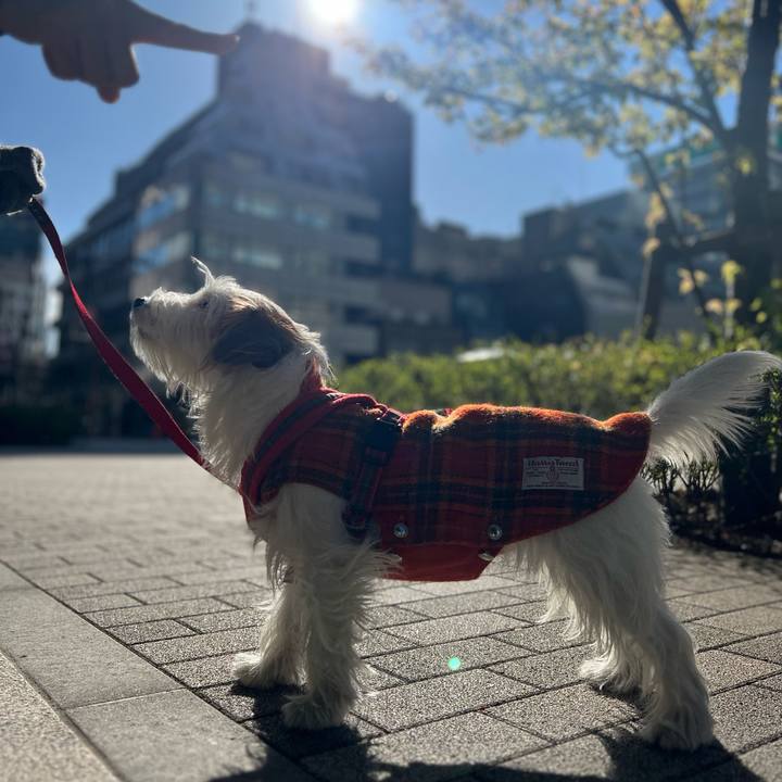 4339499c 47e9 4a9b a81e 5d1d321c5aab 1709986366631