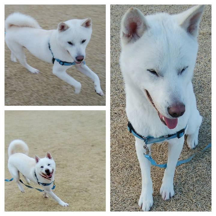 43394f01 505b 437b ae3b bf1944ecd78f 1554337798427