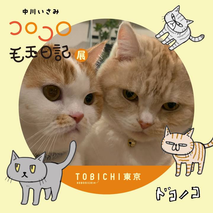 43395a0a 70ae 42a2 b20b f0f218b2fe80 1740140599332