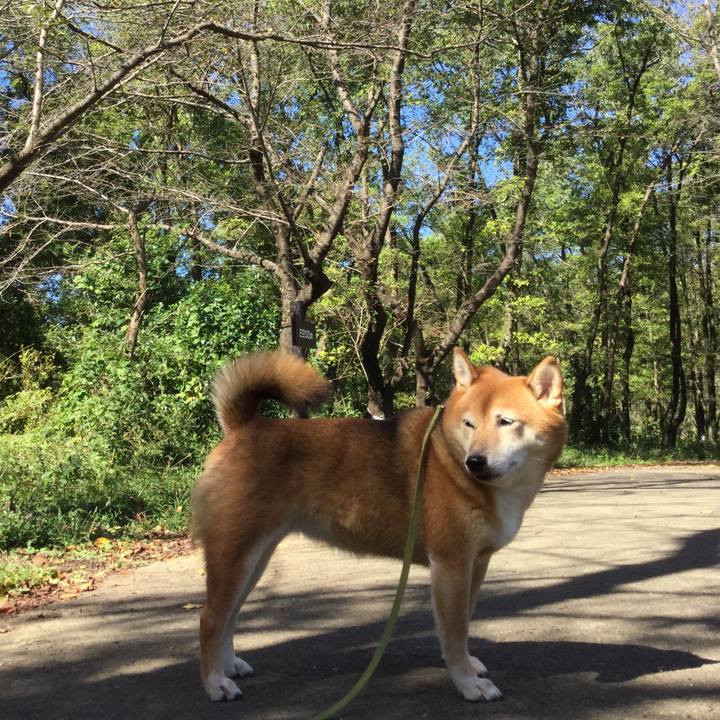 43395cc2 1998 4cda 86aa 6c3a90c3c9c0 1570599962916