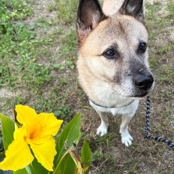 43398a8e 470f 4f21 83c7 3ab5a832e5ff 1761137037103