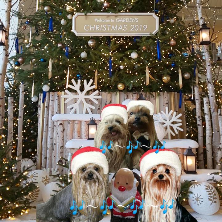 433995b6 8bc7 41f7 b84c cb483017fbeb 1577007140772