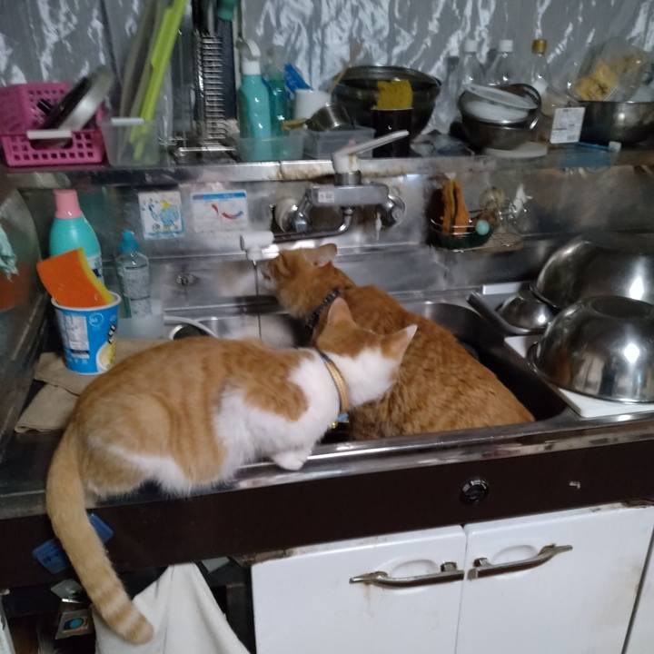 4339dde7 f83e 4fd4 8e03 89c227d7d192 1734737189617