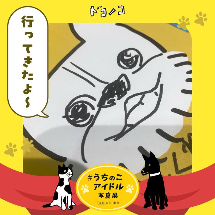 4339e3c7 7711 4ae5 8a07 e127d5df4bca 1762064396495