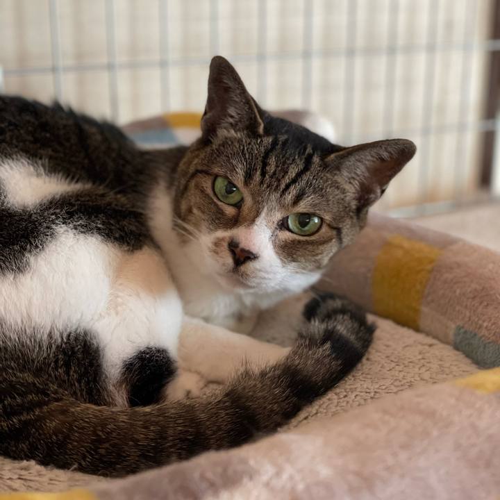 4339ed09 4c83 41d2 ad62 21c1c0763402 1656815125305