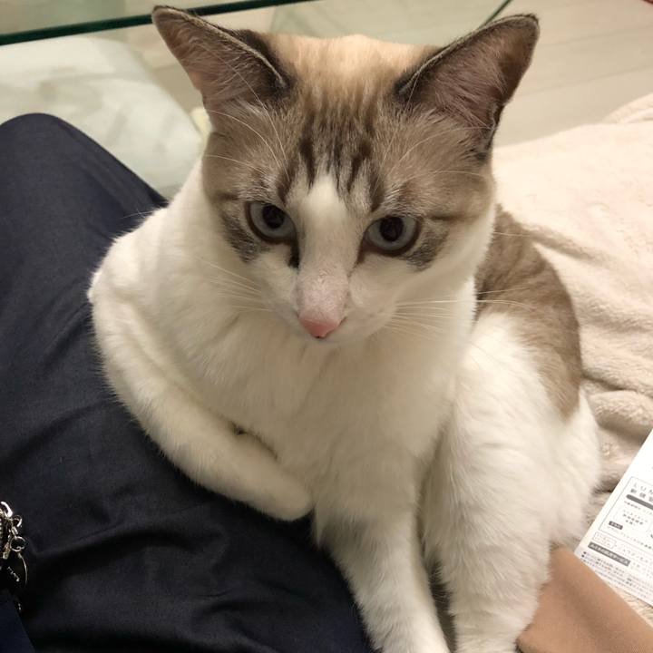 4339f40c 5077 4344 af82 f632c3d4817e 1541409766977