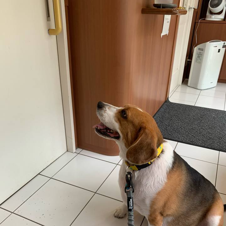 433a0370 5cd1 407a a2c9 50b36b4b869f 1655282444078