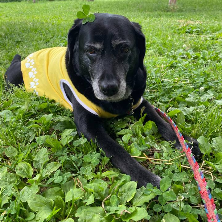 433a2724 4b10 48ae 88b4 8b8a8deb2772 1652338234651