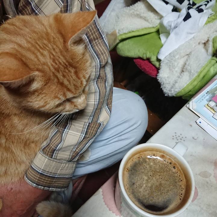 433a2f29 897e 41b7 870d 859eb32a8d8d 1591989227267